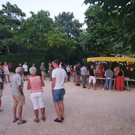 Campsite Cosy Avec Terrasse Pour 6 Personnes - Api-1-52-521